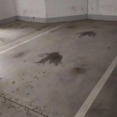 公寓 Quiet Peaceful 2br With Parking In Kirchberg *