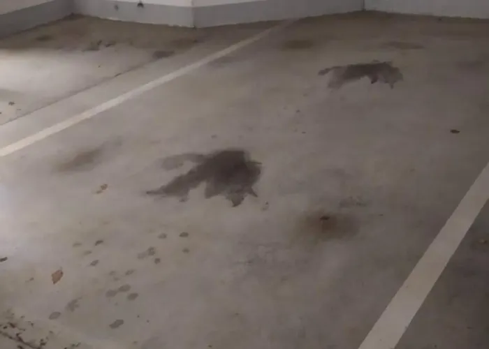 アパート Quiet Peaceful 2br With Parking In Kirchberg *