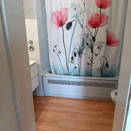 Apartman Quiet Peaceful 2br With Parking In Kirchberg *